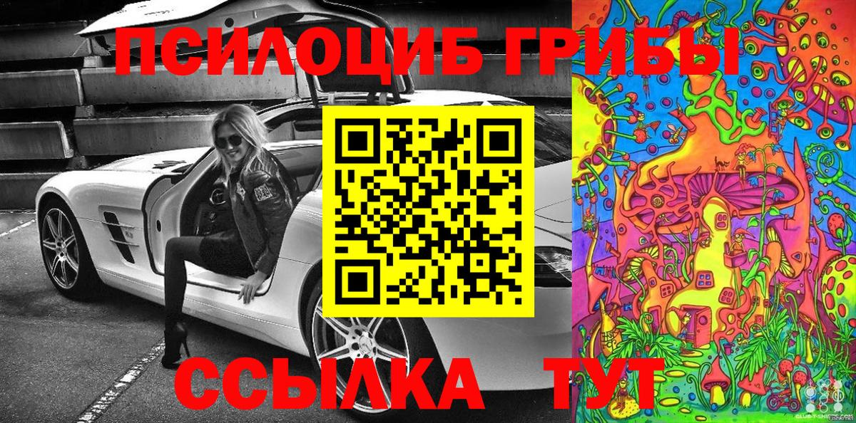 Псилоцибиновые грибы Psilocybine cubensis Людиново